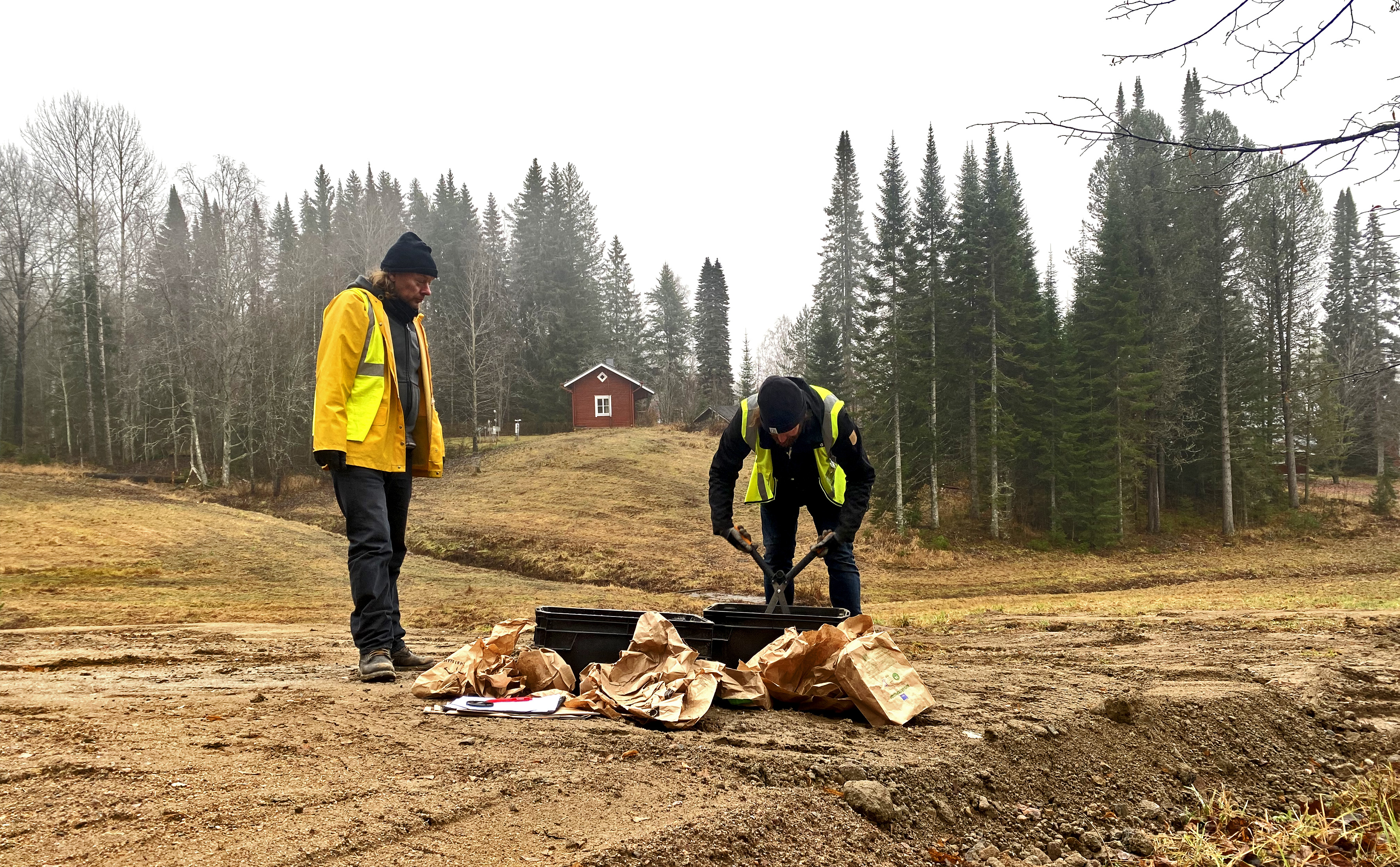 villivyöhyke kylvö1_marras2022_kuva Ulla Taipale.jpg